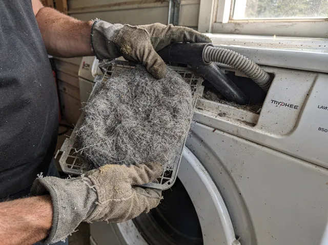 Cleaning Dryer Lint Trap in Pineville